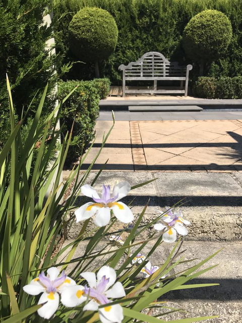 S T U D I O 22 Peaceful Retreat With Garden Views - ACT Tourism 13