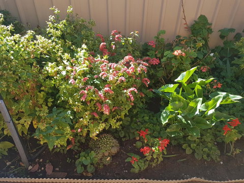 Tanunda\'s Magpie House - ACT Tourism 24