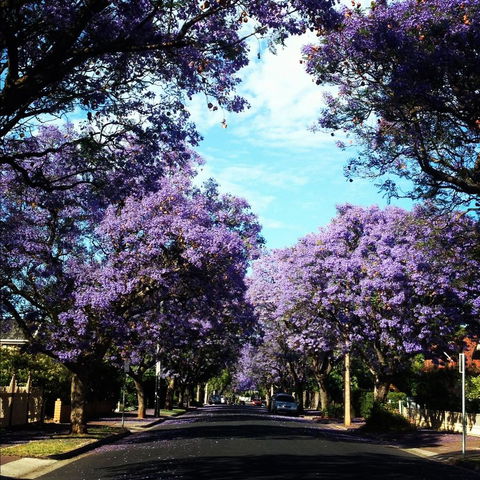 Monaco Court Apartment Adelaide - ACT Tourism 0
