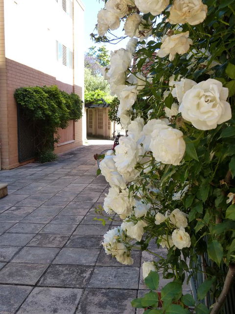 Monaco Court Apartment Adelaide - ACT Tourism 19