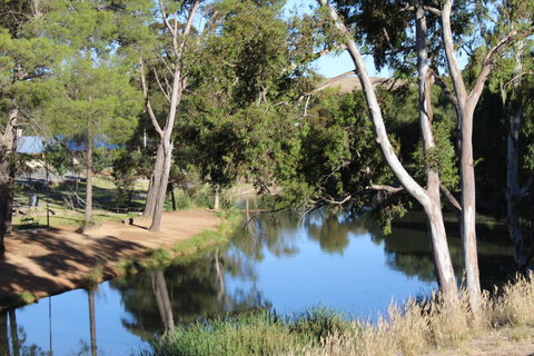 Hillside Cottage - ACT Tourism 11