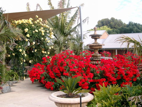 McLaren Vale Motel & Apartments - ACT Tourism 35