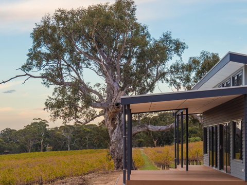 Shadow Creek McLaren Vale - ACT Tourism 19