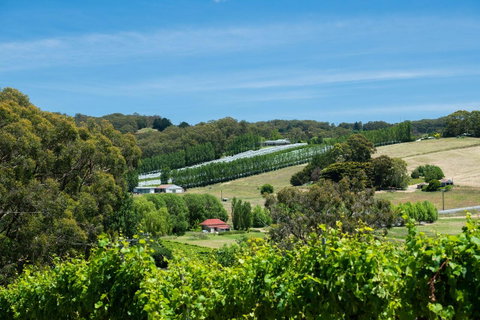 The Other House - ACT Tourism 3