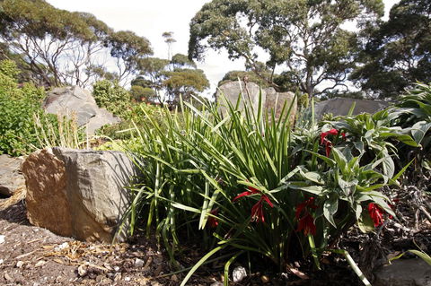 Cape Jervis Holiday Units - ACT Tourism 6