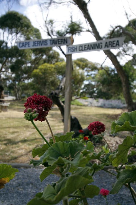 Cape Jervis Holiday Units - ACT Tourism 13