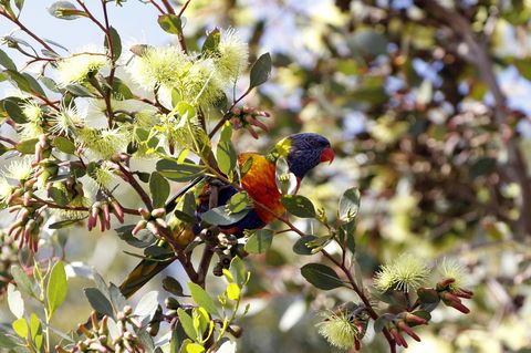 Cape Jervis Holiday Units - ACT Tourism 11