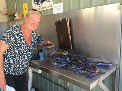 Ceduna Foreshore Caravan Park - ACT Tourism 28
