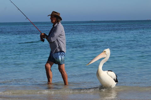 Ceduna Foreshore Caravan Park - ACT Tourism 21