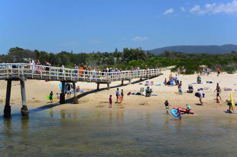 Bellhaven 1, 17 Willow Street - ACT Tourism 7