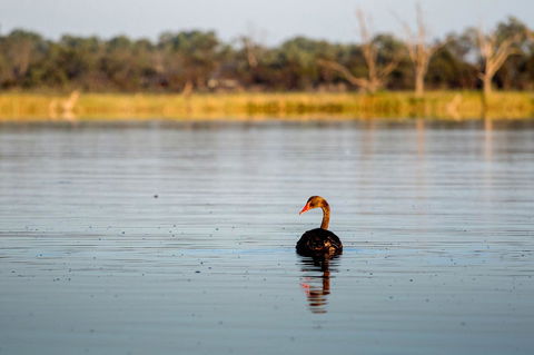 Discovery Parks - Lake Bonney - ACT Tourism 36