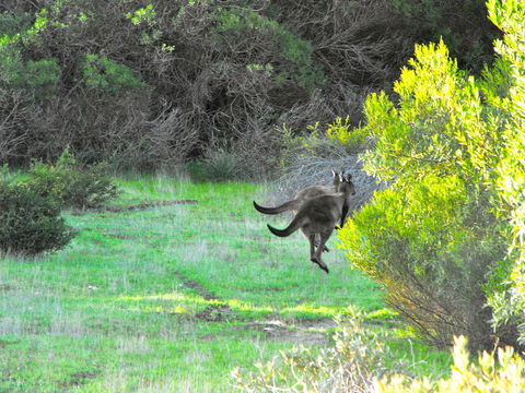 A Dune Escape - ACT Tourism 25