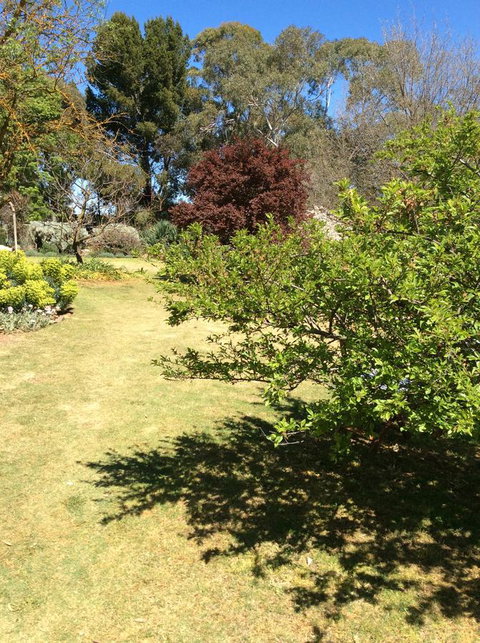 Kit Kat Cottage - Heritage Accommodation Burra - ACT Tourism 6