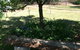 Kit Kat Cottage - Heritage Accommodation Burra - thumb 4