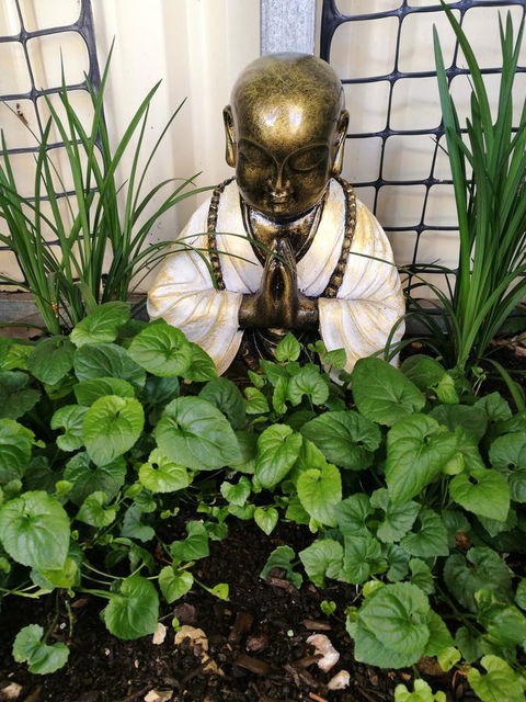 Hilda Anna's - ACT Tourism 44