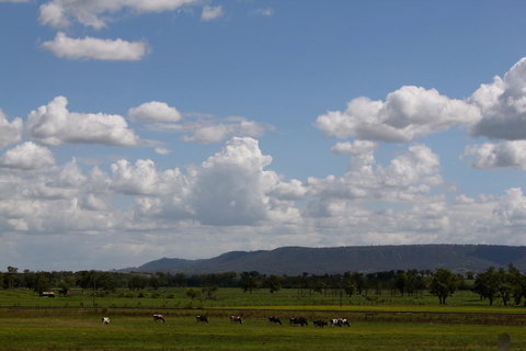 Isis Motel Scone - ACT Tourism 5