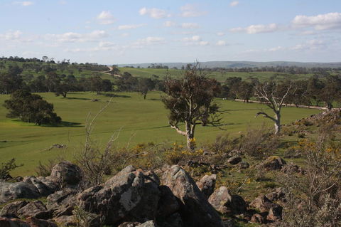 Rabbiters Hut - ACT Tourism 28