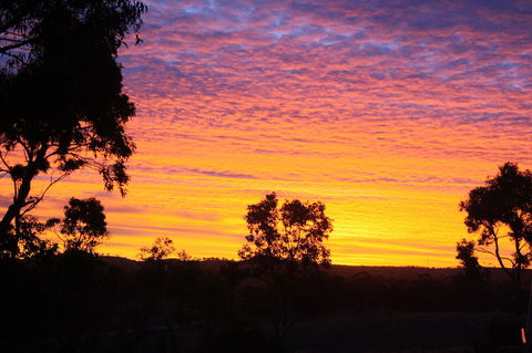 Rabbiters Hut - ACT Tourism 33