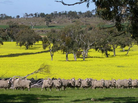 Rabbiters Hut - ACT Tourism 16
