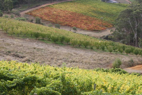 Rabbiters Hut - ACT Tourism 25