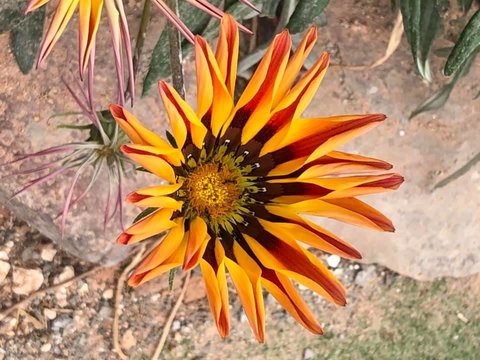 Aussie Opal Diggers Outback Retreat-Undergound - ACT Tourism 26