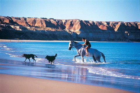 Lavina Luxury Beach House - ACT Tourism 25