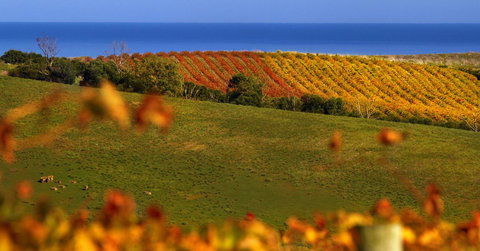 Lavina Luxury Beach House - ACT Tourism 14