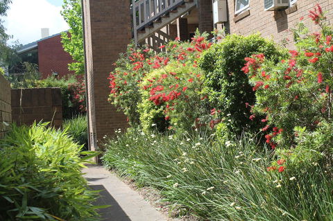 Adelaide DressCircle Apartments - Archer Street - ACT Tourism 18