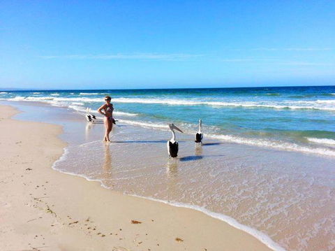 Atlantic West Beach Apartments - ACT Tourism 22