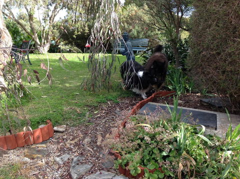 Casuarina Coastal Units - ACT Tourism 29