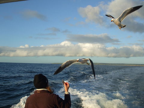 Casuarina Coastal Units - ACT Tourism 25
