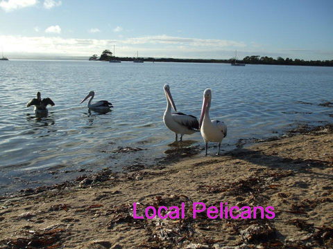 Casuarina Coastal Units - ACT Tourism 23