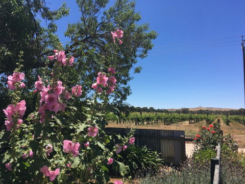 Amy\'s House Bed & Breakfast - ACT Tourism 29