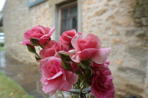 Amy\'s House Bed & Breakfast - ACT Tourism 30