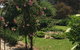 Hilltop Too - thumb 13