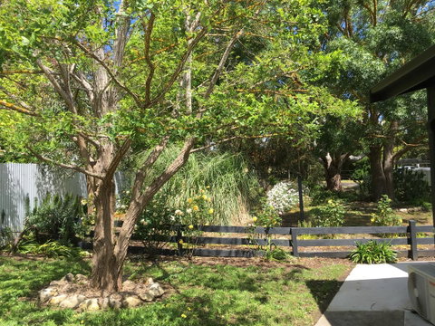 Hilltop Too - ACT Tourism 7