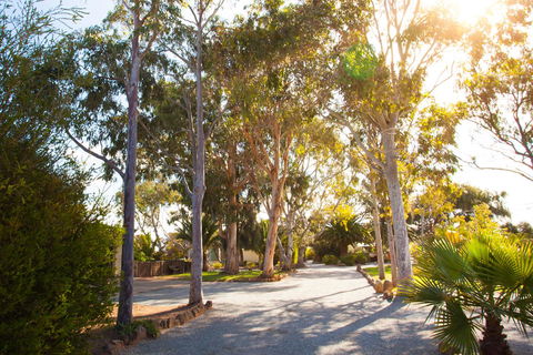 Modra\'s Apartments - ACT Tourism 0