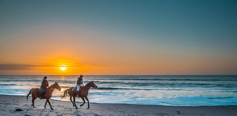 Lady Bay Hotel - ACT Tourism 28