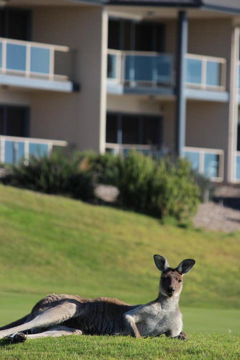 Lady Bay Hotel - ACT Tourism 16