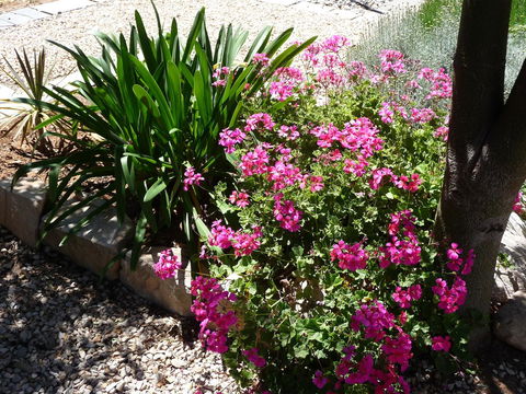 Country Bakehouse Accommodation - ACT Tourism 18