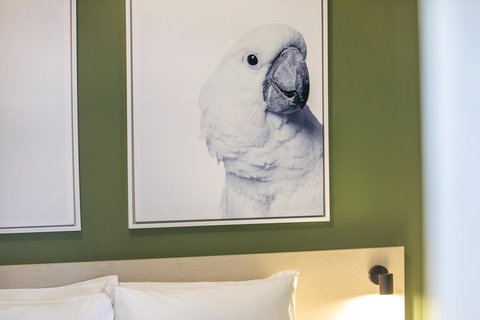 Nightcap At Exeter Hotel - ACT Tourism 12