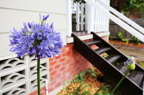 Hudson Bay @ Basin View-Pet Friendly-15 Mins To Hyams Beach - ACT Tourism 38