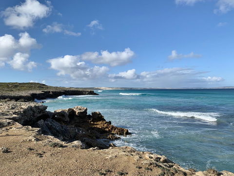 Hilton Beachfront Motel - ACT Tourism 6