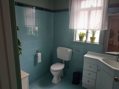 Diamond On Olive - ACT Tourism 1