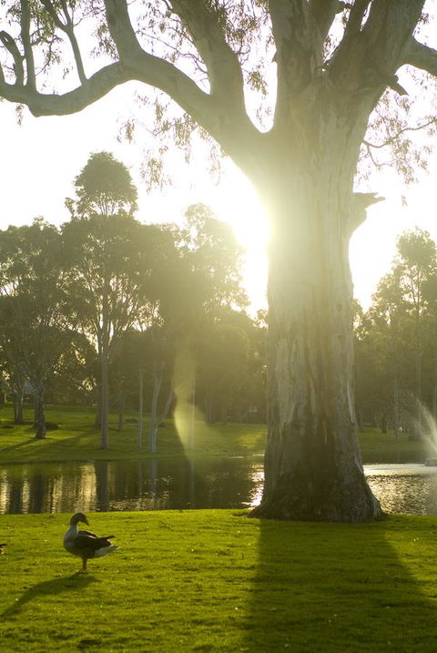 Serafino McLaren Vale - ACT Tourism 15