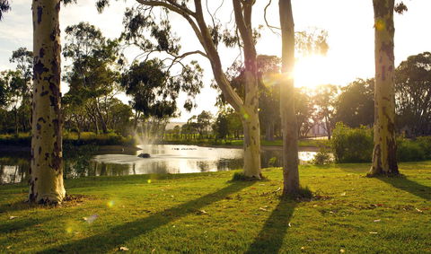 Serafino McLaren Vale - ACT Tourism 14