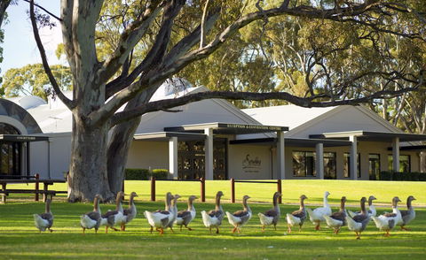 Serafino McLaren Vale - ACT Tourism 0