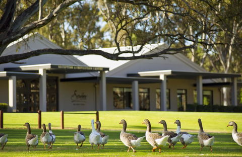 Serafino McLaren Vale - ACT Tourism 17