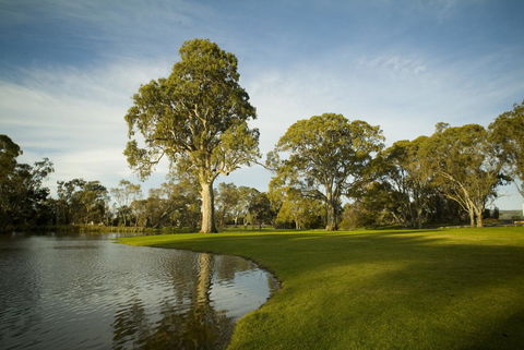 Serafino McLaren Vale - ACT Tourism 16