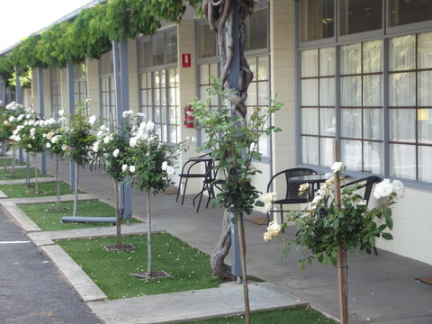 Guichen Bay Motel - ACT Tourism 38